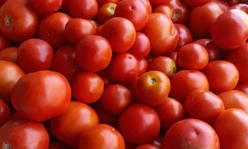 கடலூரில் கடும் விலை உயர்வு- 100 ரூபாய்க்கு விற்பனையான தக்காளி