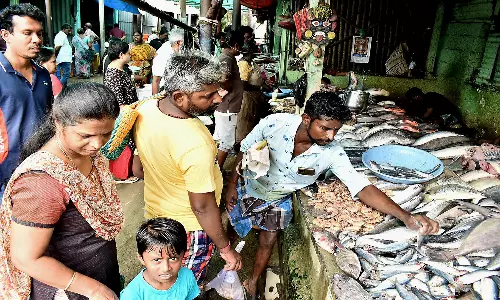ஈரோடு மார்க்கெட்டிற்கு மீன் வரத்து 8 டன்னாக குறைந்தது