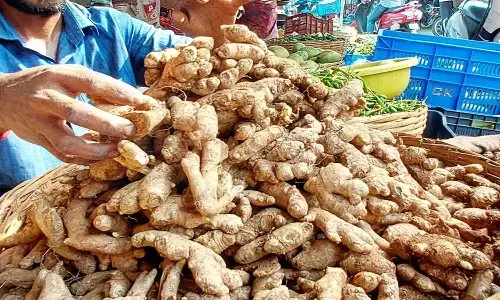 தஞ்சையில், இஞ்சி விலை கிடுகிடு உயர்வு