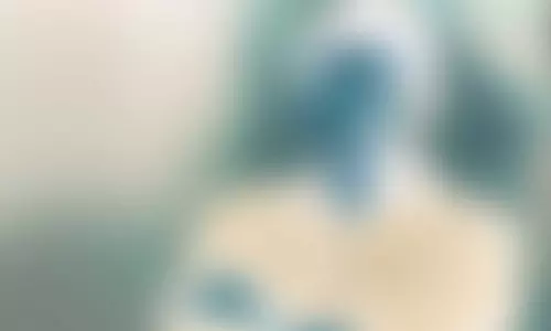 ஆபாச பட இயக்குனராக மாறிய பிரபல இயக்குனர்
