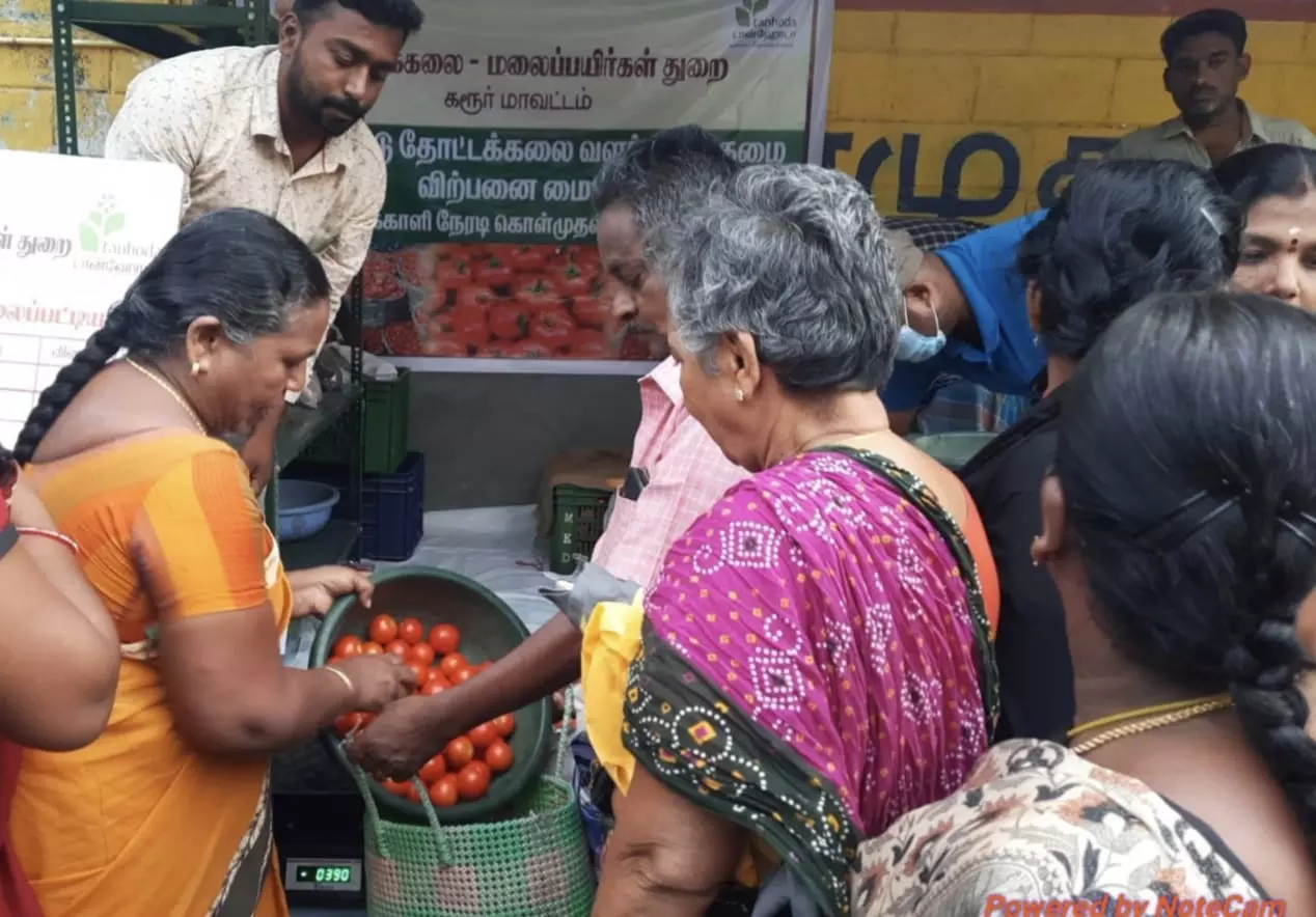 உழவர் சந்தையில் குறைந்த விலையில் தக்காளி விற்பனை உழவர் சந்தையில் குறைந்த விலையில் தக்காளி விற்பனை