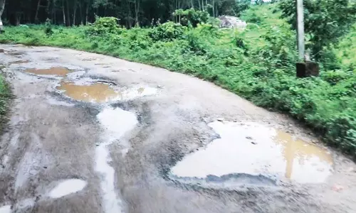 பேச்சிப்பாறை-கோதையாறு சாலையை சீரமைக்க வேண்டும்