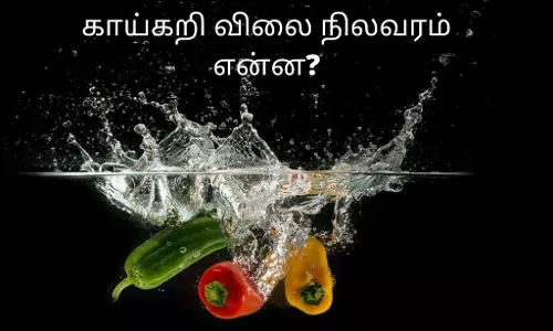 கடலூரில் இன்றைய காய்கறி விலை விவரம்