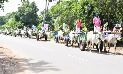 புதுக்கோட்டை மாங்காட்டில் 15 மாட்டு வண்டிகளில் வந்த தாய் மாமன் சீர் வரிசை