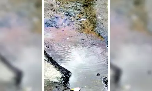 செங்கோட்டையில் குடிநீர் குழாய் உடைப்பால் சாலையில் வீணாகும் தண்ணீர்