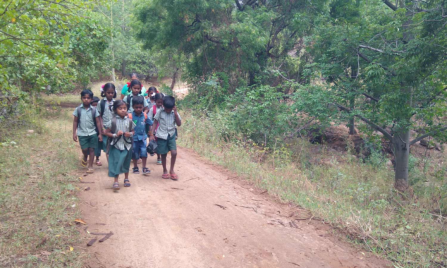 போக்குவரத்து வசதி இல்லாததால் 2 கி.மீ. தூரம் நடந்தே பள்ளிக்கு செல்லும் மாணவ-மாணவிகள்
