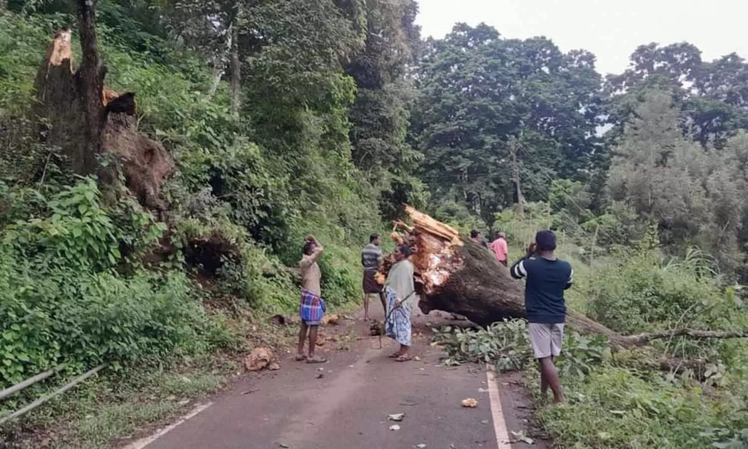 ஊட்டி, கூடலூரில் மரங்கள் முறிந்து விழுந்ததால் 3 மணி நேரம் போக்குவரத்து பாதிப்பு ஊட்டி, கூடலூரில் மரங்கள் முறிந்து விழுந்ததால் 3 மணி நேரம் போக்குவரத்து பாதிப்பு