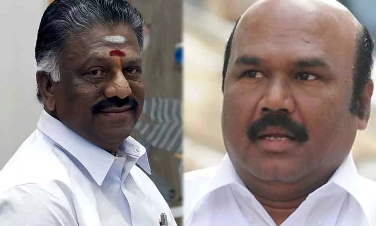 ஓ.பன்னீர்செல்வம் அணியினர் அ.தி.மு.க. கொடி, இரட்டை இலையை பயன்படுத்துவது மோசடி செயலாகும்- ஜெயக்குமார்