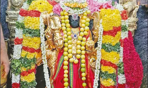 தாடிக்கொம்பு சவுந்தரராஜ பெருமாள் கோவிலில்சொர்ண ஆகர்ஷண பைரவருக்கு சிறப்பு பூஜை