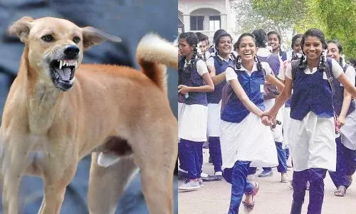 தெருநாய்கள் தொல்லையால் கோழிக்கோட்டில் பள்ளிகளுக்கு விடுமுறை