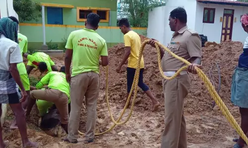 குழியில் விழுந்த மாடு உயிருடன் மீட்பு