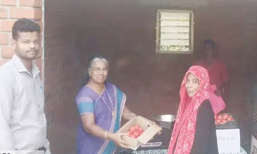 கன்னியாகுமரி அரசு பழத்தோட்டத்தில் குறைந்த விலைக்கு தக்காளி விற்பனை