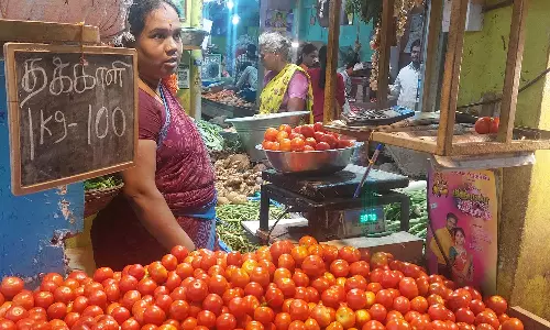 திருவள்ளூரில் தோட்டக்கலை சார்பில் ஏற்பாடு செய்த நடமாடும் கடையில் தக்காளி ரூ.110-க்கு விற்பனை