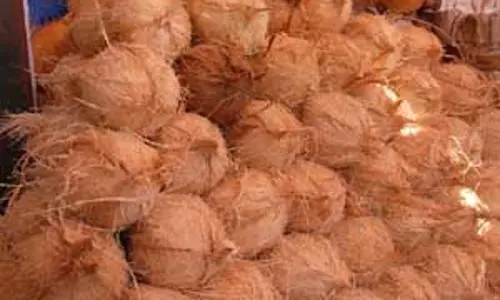 வேளாண் பொருட்கள் ரூ.18.76 லட்சத்துக்கு விற்பனை