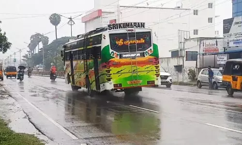 தருமபுரி, கிருஷ்ணகிரியில் வெளுத்து வாங்கிய கனமழை