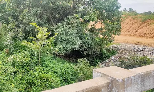 புதர்மண்டி கிடக்கும் கால்வாய்களை தூர்வார கோரிக்கை