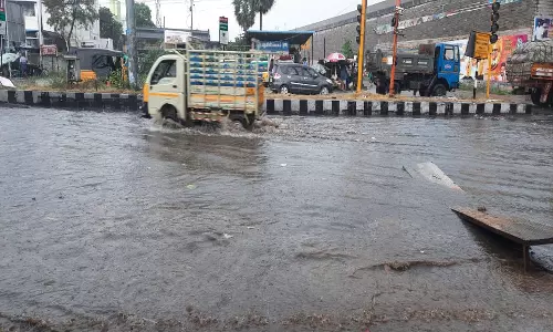 திண்டுக்கல்லில் வெப்பத்தை விரட்டியடித்த மழையால் மக்கள் நிம்மதி
