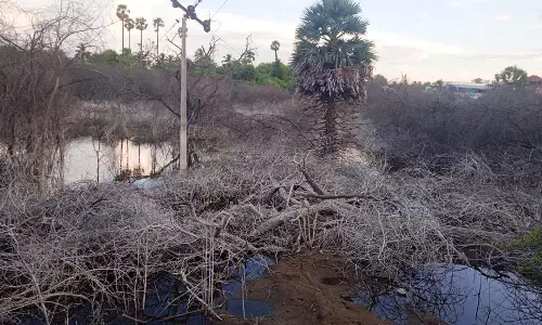 ஊத்தங்கரை ஆலஏரி ஆக்கிரமிப்பை அகற்றி அளவிட வேண்டும்