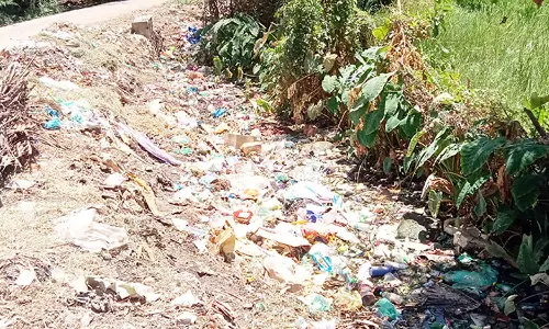 வாய்க்காலில் தேங்கி கிடக்கும் குப்பைகளை அகற்ற வேண்டும்