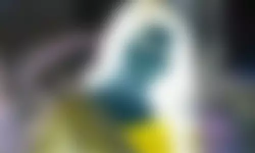 வாரிசு நடிகரின் மகனால் பாதிக்கப்பட்ட நடிகை