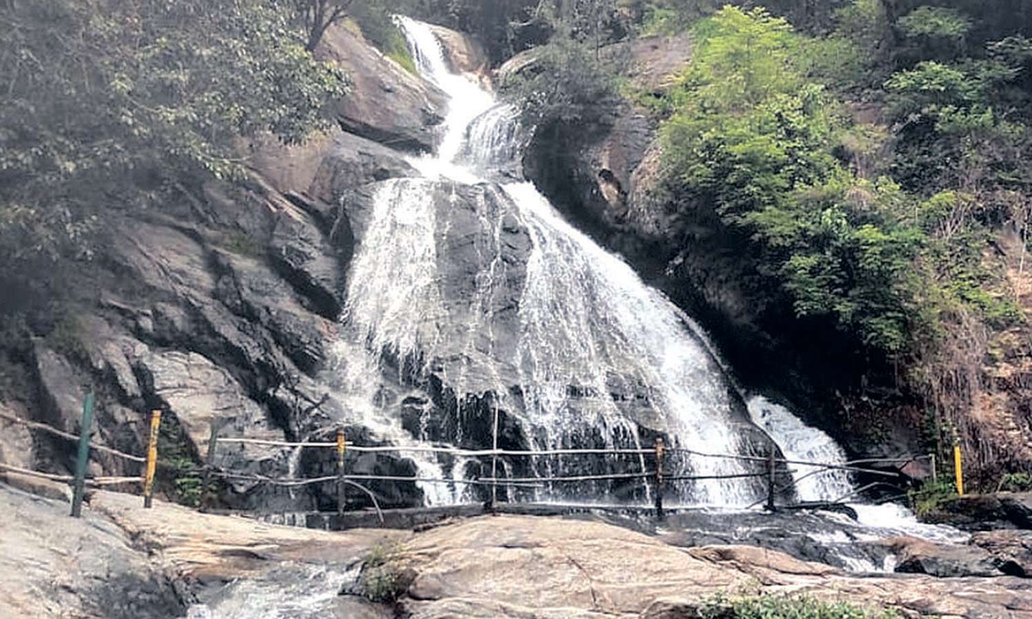 கவியருவியில் குளிக்க வனத்துறை இன்று முதல் அனுமதி- சுற்றுலா பயணிகள் வருகை மீண்டும் அதிகரிப்பு