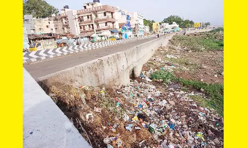 குப்பை கொட்டும் நிலையமாக மாறிய வைகை தென்கரை பகுதி