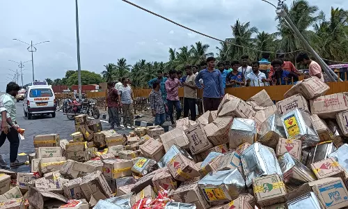 நெடுஞ்சாலை இரும்பு தடுப்பில் மினிலாரி மோதி டிரைவர் சாவு