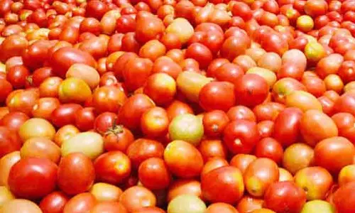 கோவையில் 20 ரேஷன் கடைகளில் தக்காளி விற்பனை தொடங்கியது