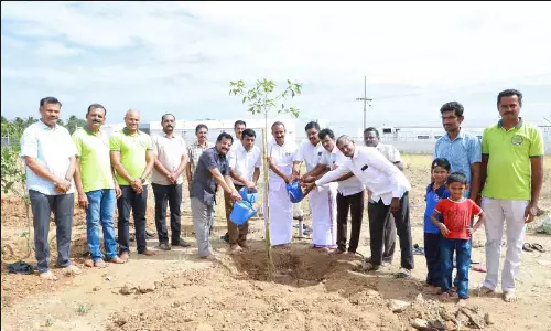 காங்கயம் துளிகள் அமைப்பு சார்பில் மரக்கன்றுகள் நடும் விழா