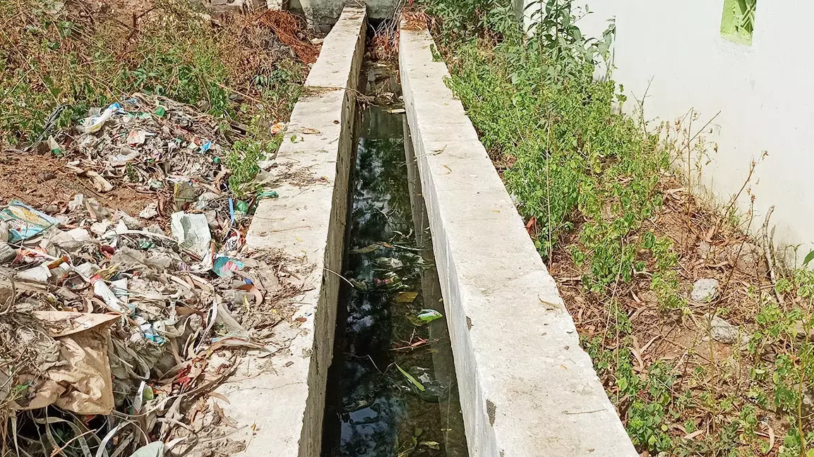 வாய்க்காலில் தேங்கிய பிளாஸ்டிக் குப்பைகளால் கொசு தொல்லை