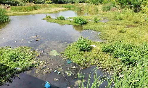 ஒட்டன்சத்திரம் அருகே நங்காஞ்சியாற்றில் கலக்கும் கழிவு நீரால் சுகாதார சீர்கேடு