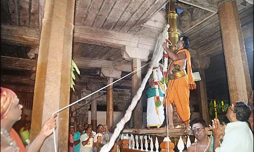 நெல்லையப்பர் கோவிலில் ஆடிப்பூர திருவிழா கொடியேற்றம்: திரளான பக்தர்கள் சாமி தரிசனம்