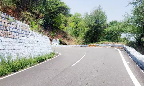 ஒட்டன்சத்திரம் அருகே மலைச்சாலையில் விபத்தை தடுக்க குவிலென்ஸ் பொருத்த வேண்டும்