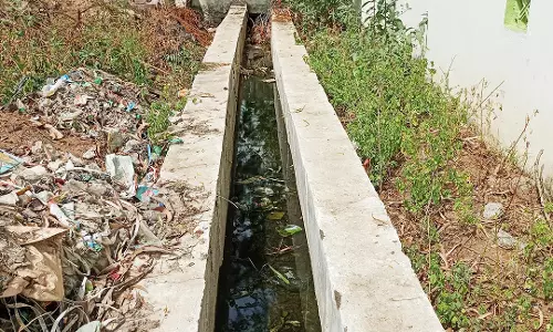 வாய்க்காலில் தேங்கிய பிளாஸ்டிக் குப்பைகளால் கொசு தொல்லை