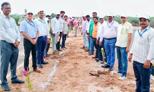 2 ஆயிரம் மரக்கன்று நடும்விழா