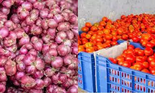 நாமக்கல் உழவர் சந்தைகளில்தக்காளி, சின்ன வெங்காயம் விலை சரிவு