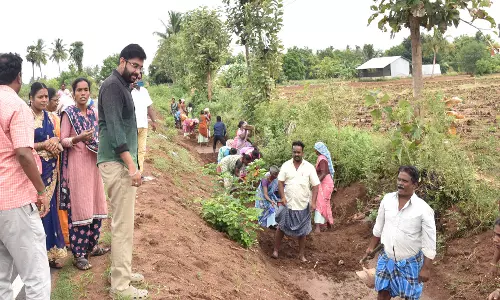 நல்லூர் ஒன்றியத்தில் வளர்ச்சி திட்ட பணிகளை கலெக்டர் ஆய்வு