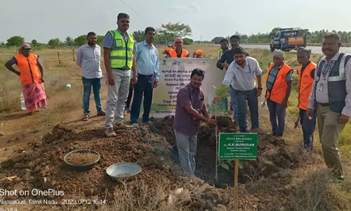 பரமத்தி அருகே தேசிய நெடுஞ்சாலை ஓரத்தில் மரக்கன்றுகள் நடும் நிகழ்ச்சி