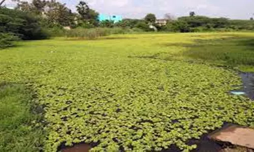 நாமக்கல் அருகே கோவில் குளத்தை சீரமைக்க கோரிக்கை