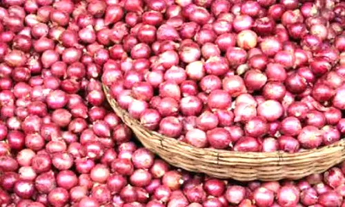 சின்ன வெங்காயம் சாகுபடி குறைந்தது ஏன்? விவசாயிகள் கருத்து