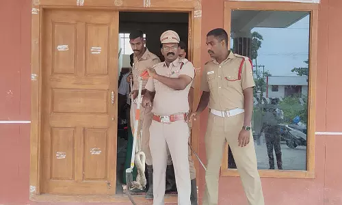 உளுந்தூர்பேட்டை அருகே போலீஸ் நிலையத்திற்குள் புகுந்த சாரை பாம்பு