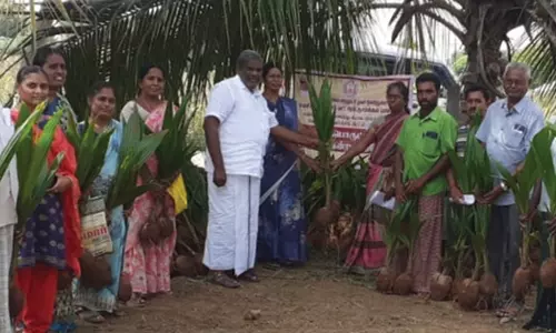 விவசாயிகளுக்கு இடுபொருட்கள் வழங்கும் விழா