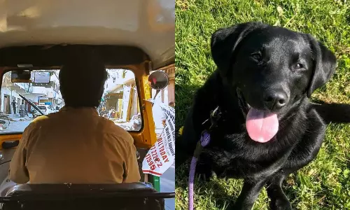 ஆட்டோ டிரைவரை நாயை ஏவி விட்டு கடிக்க வைத்த பக்கத்து வீட்டுக்காரர்- முன் விரோதத்தில் கொடூர சம்பவம்