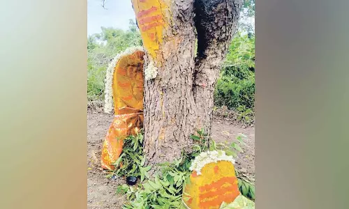 கல்லூரி மாணவர் கனவில் வந்த இடத்தில் எல்லை பிடாரி செல்லியம்மன் சிலை- மஞ்சள் பூசி பக்தர்கள் வழிபாடு