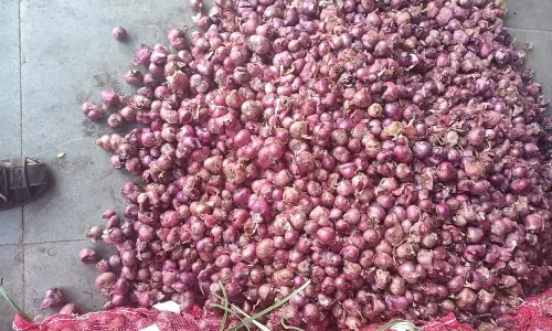 ஒட்டன்சத்திரம் : சின்னவெங்காயம்  கிலோ ரூ.150க்கு விற்பனை - சில்லறை கடைகளில் ரூ.200-ஐ தாண்டியது