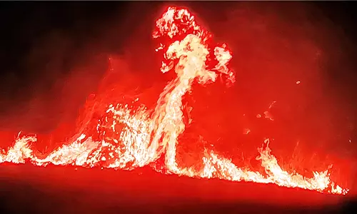 கயத்தாறு அருகே தோட்டத்தில் திடீர் தீ