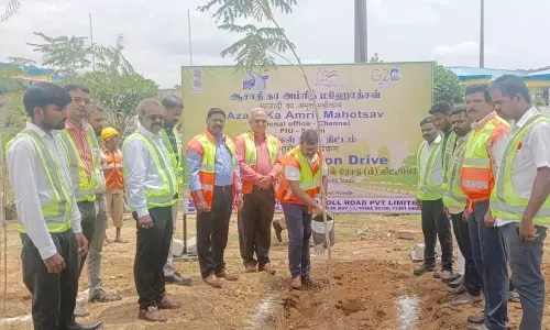 தேசிய நெடுஞ்சாலை சார்பில் மரம் நடும் விழா