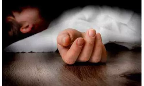 தென்னை மரத்தில் இருந்து தவறி கீழே விழுந்து வாலிபர் பலி