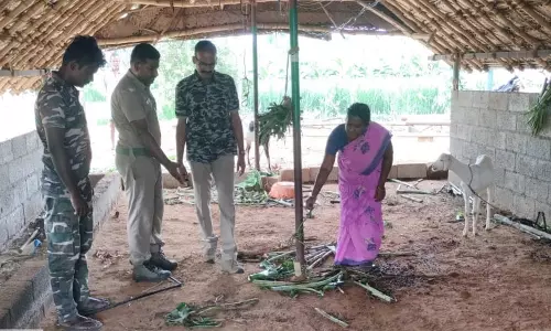 சிறுத்தை நடமாட்டத்தை கண்காணிக்க 3 இடங்களில் கேமிரா பொருத்தம்