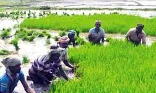 பிரதமரின் விவசாய உதவித்தொகை: கூடுதலாக 63 ஆயிரம் பேர் சேர்ப்பு